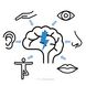 2024-053 Funktionsuntersuchung Kopfschmerz: Migränebetroffene – erkennen, untersuchen und gezielt behandeln mit dem CCS- Konzept
