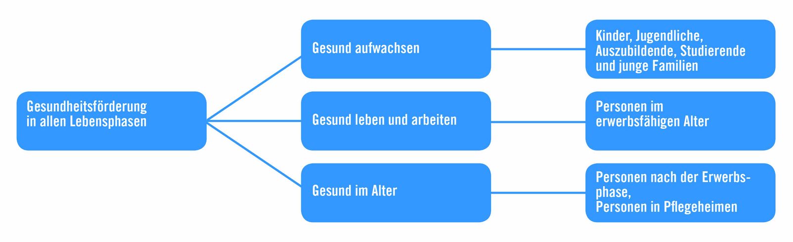 Handlungsfelder, Ziele, Zielgruppen