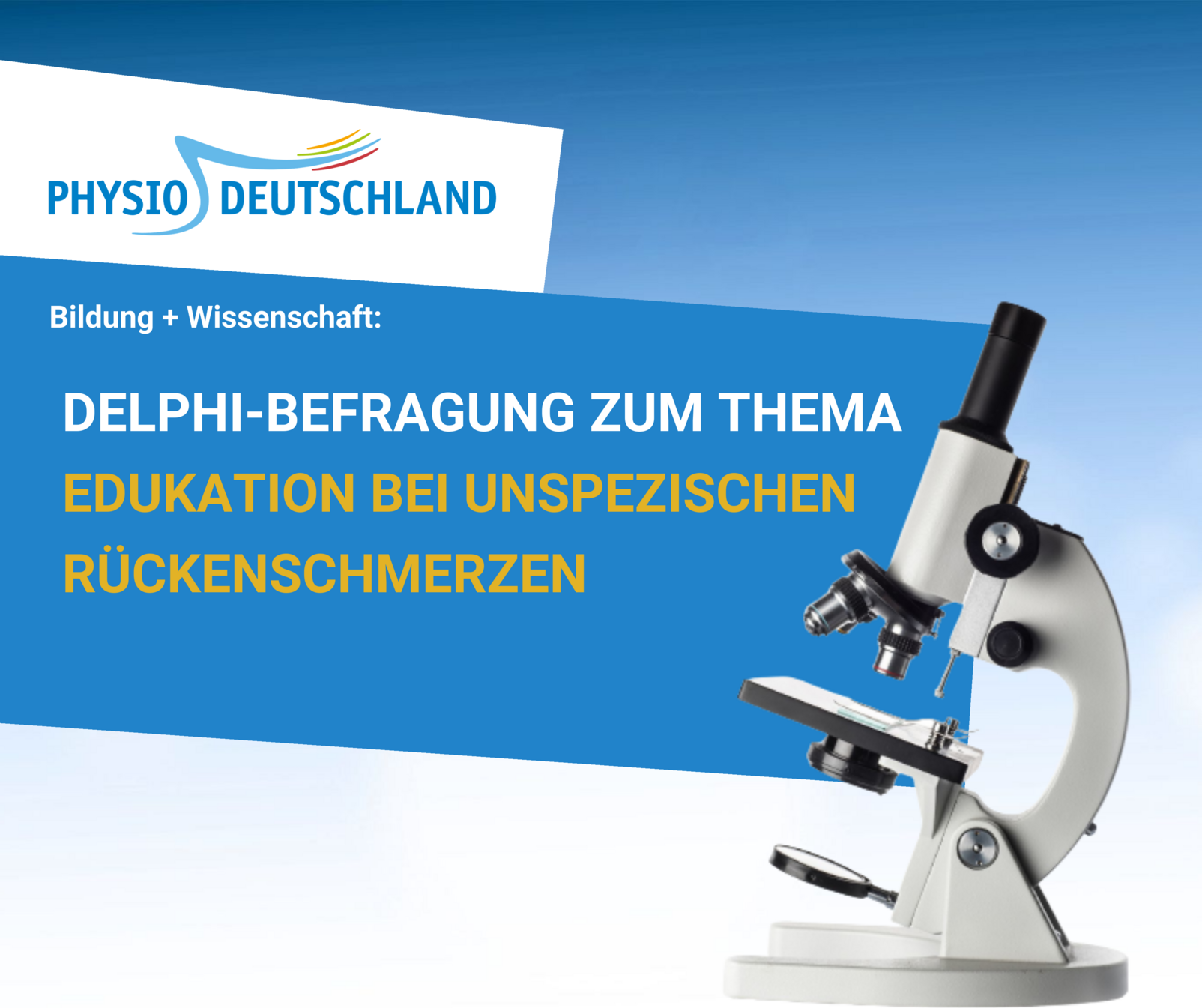 Kachel Delphi Rueckenschmerz
